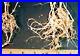 30-lb-pail-of-Soil-Moist-Mycorrhizal-Vertimulch-USA-Made-Home-Commercial-Use-01-ge
