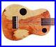ALL-Solid-Wood-TENOR-Ukulele-with-Modern-Design-01-rprw