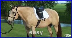 All Purpose English Saddle Only or Package Synthetic Blk or Brwn Reg Wide