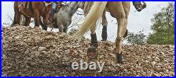 Cavallo SIMPLE SLIM Sole Multi Purpose All Terrain Boots + FREE Hoof Pick Black