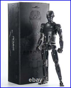 PINYIKE All Purpose Humanoid Series Robot Figure in 1/6 scale